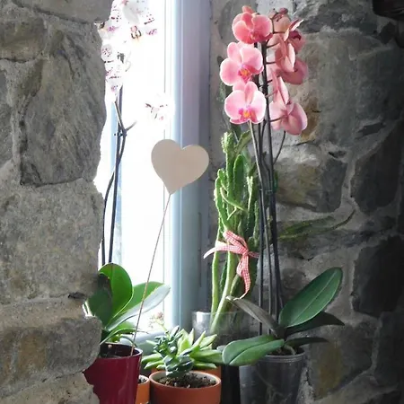 別荘 C & C _ Cycladic House With Endless Sea View エルムポリ